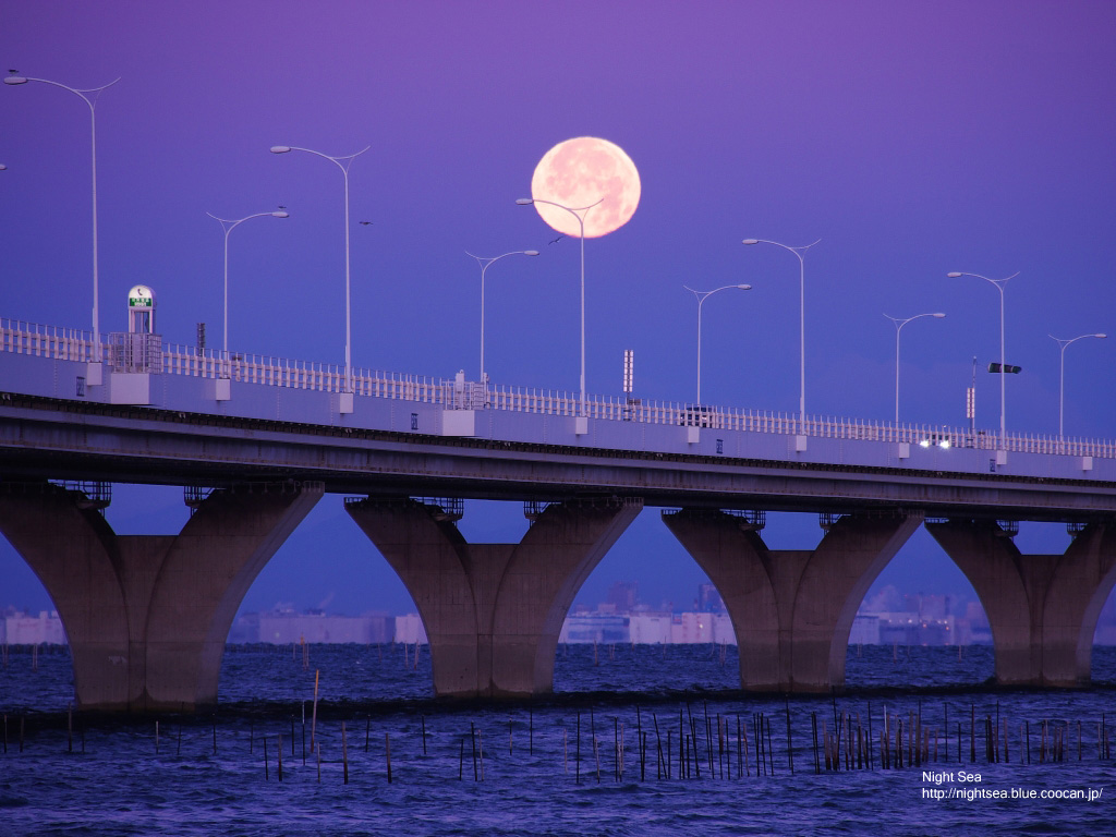 366日 の掲示板投稿写真&画像